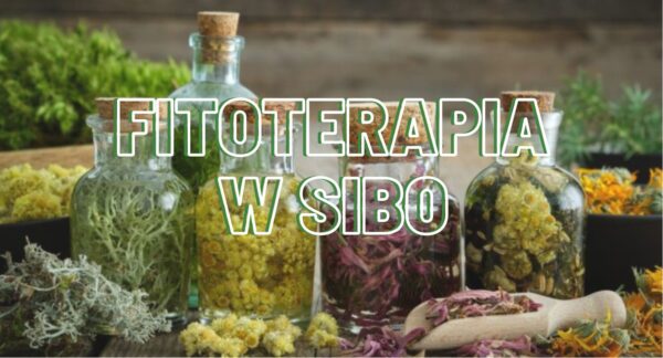 LECZENIE I&nbsp;FITOTERAPIA W&nbsp;SIBO/IMO