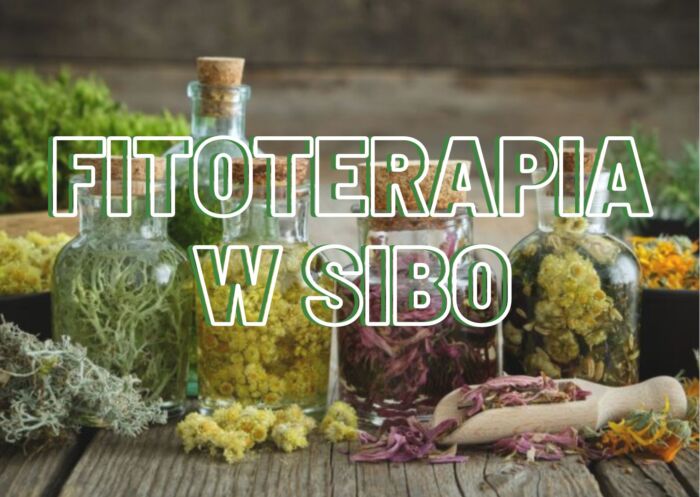 fitoterapia SIBO IMO