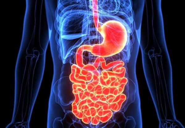 MMC (wędrujący kompleks mioelektryczny)