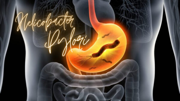 Helicobacter Pylori – postępowanie